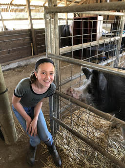 girl next to a large pig